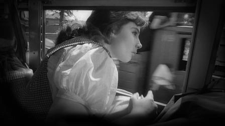 Quando volano le cicogne