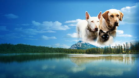 Die unglaubliche Reise