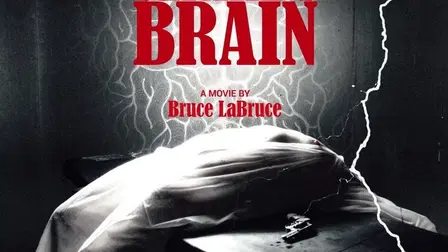 Ulrike's Brain