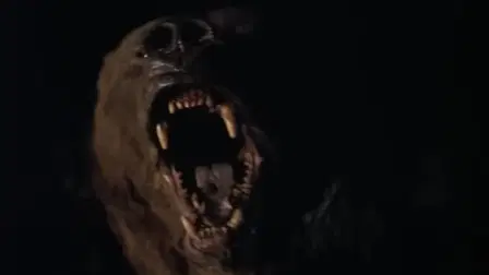 Wild Grizzly