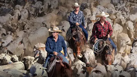 The Cowboy Way
