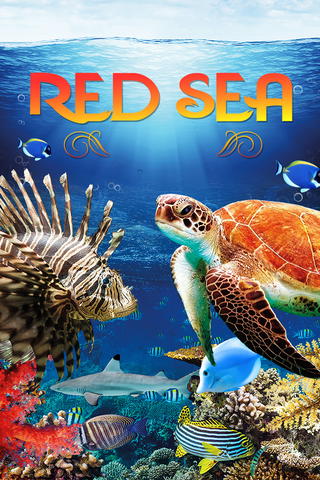 Red Sea