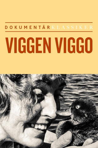 Viggen Viggo